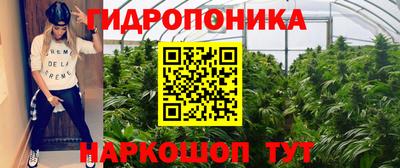 ешки Можга