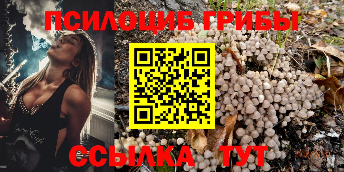 Тимашёвск  Псилоцибиновые грибы Psilocybe  Вход с VPN  Галлюциногенные грибы Psilocybine cubensis 